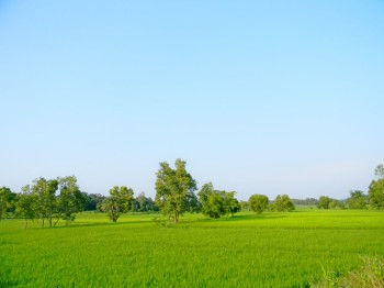 Rohumaade rajamine Rohumaade rajamine